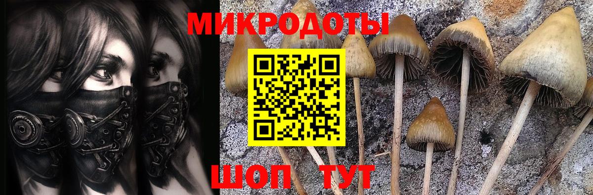 Галлюциногенные грибы Psilocybe  Галлюциногенные грибы GOLDEN TEACHER  Вход с VPN  Богородицк 