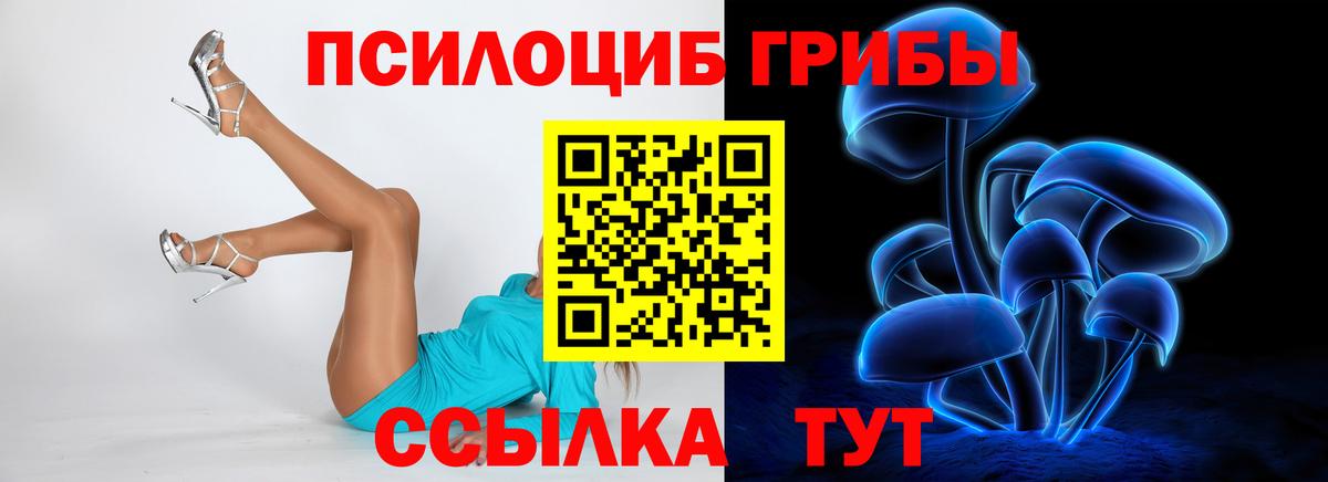 Псилоцибиновые грибы Magic Shrooms Богородицк